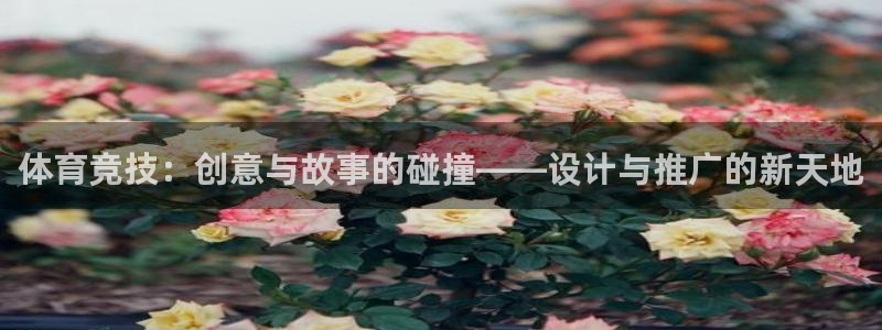 k1体育app