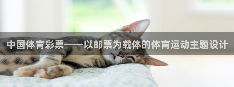 k1体育链接