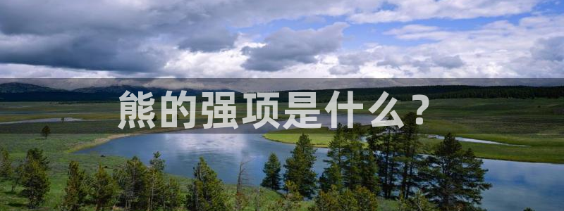 k1体育棋牌